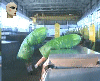 59a9d255394b8_.gif